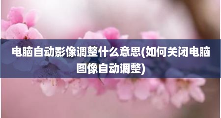 电脑自动影像调整什么意思(如何关闭电脑图像自动调整)