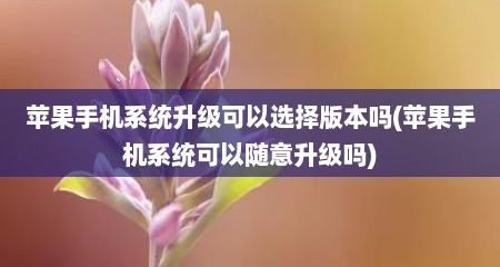 苹果手机系统升级可以选择版本吗(苹果手机系统可以随意升级吗)