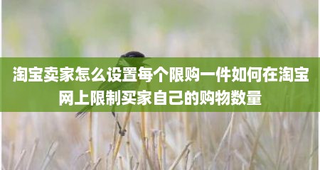 淘宝卖家怎么设置每个限购一件如何在淘宝网上限制买家自己的购物数量