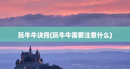 玩牛牛诀窍(玩牛牛需要注意什么)