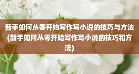 新手如何从零开始写作写小说的技巧与方法(新手如何从零开始写作写小说的技巧和方法)