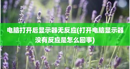 电脑打开后显示器无反应(打开电脑显示器没有反应是怎么回事)