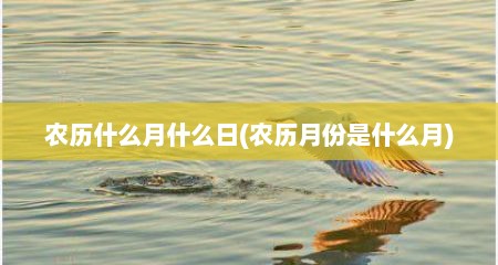 农历什么月什么日(农历月份是什么月)