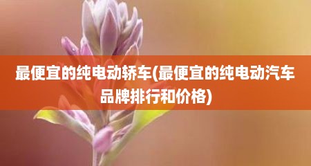 最便宜的纯电动轿车(最便宜的纯电动汽车品牌排行和价格)