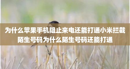为什么苹果手机阻止来电还能打通小米拦截陌生号码为什么陌生号码还能打通