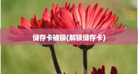 储存卡被锁(解锁储存卡)