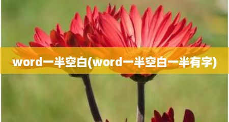 word一半空白(word一半空白一半有字)