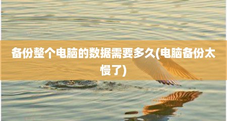 备份整个电脑的数据需要多久(电脑备份太慢了)