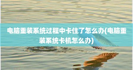 电脑重装系统过程中卡住了怎么办(电脑重装系统卡机怎么办)