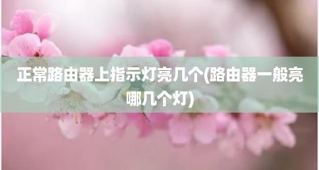 正常路由器上指示灯亮几个(路由器一般亮哪几个灯)