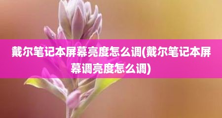 戴尔笔记本屏幕亮度怎么调(戴尔笔记本屏幕调亮度怎么调)