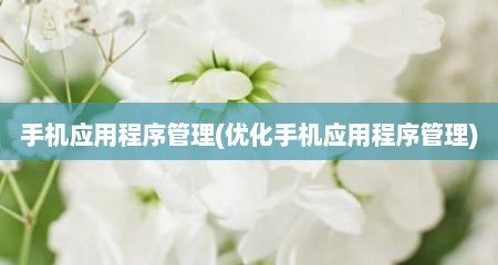 手机应用程序管理(优化手机应用程序管理)