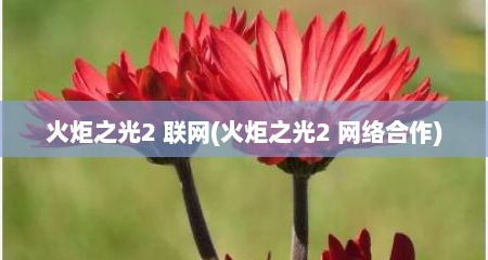 火炬芝光2 联网(火炬芝光2 网络合作)