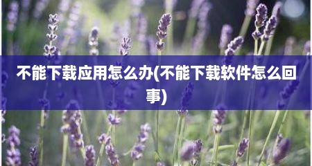 不能下载应用怎么办(不能下载软件怎么回事)