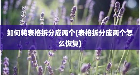 如何将表格拆分成两个(表格拆分成两个怎么恢复)
