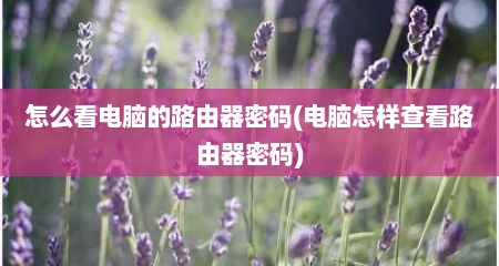 怎么看电脑的路由器密码(电脑怎样查看路由器密码)