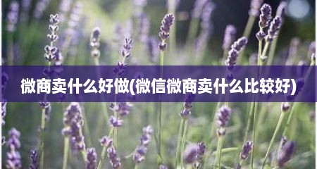 微商卖什么好做(微信微商卖什么比较好)