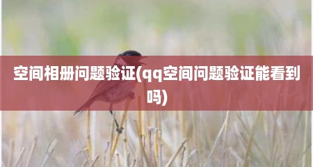 空间相册问题验证(qq空间问题验证能看到吗)