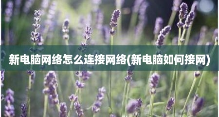 新电脑网络怎么连接网络(新电脑如何接网)