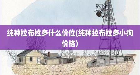 纯种拉布拉多什么价位(纯种拉布拉多小狗价格)