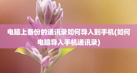 电脑上备份的通讯录如何导入到手机(如何电脑导入手机通讯录)