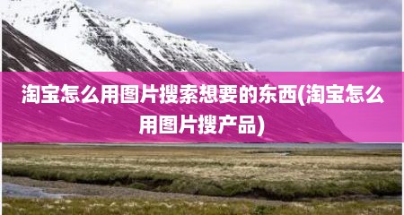 淘宝怎么用图片搜索想要的东西(淘宝怎么用图片搜产品)