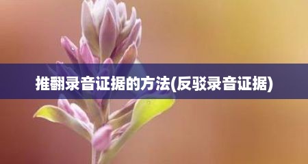 推翻录音证据的方法(反驳录音证据)