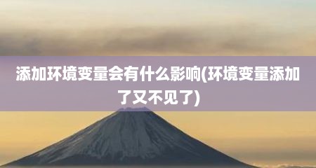 添加环境变量会有什么影响(环境变量添加了又不见了)