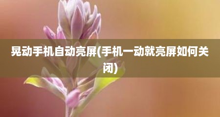 晃动手机自动亮屏(手机一动就亮屏如何关闭)