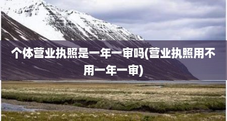 个体营业执照是一年一审吗(营业执照用不用一年一审)