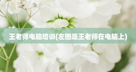 王老师电脑培训(左图是王老师在电脑上)