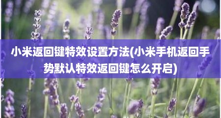 小米返回键特效设置方法(小米手机返回手势默认特效返回键怎么开启)
