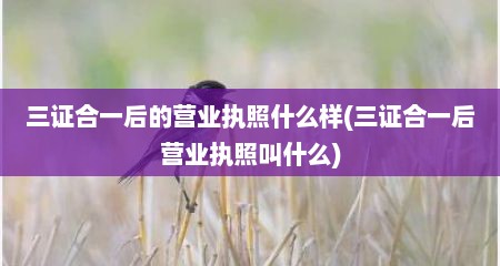 三证合一后的营业执照什么样(三证合一后营业执照叫什么)