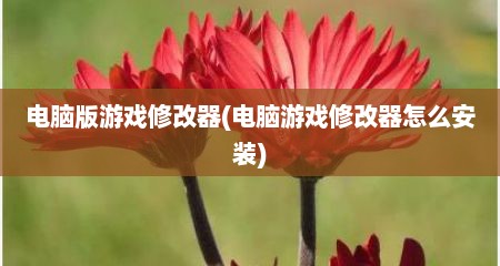 电脑版游戏修改器(电脑游戏修改器怎么安装)