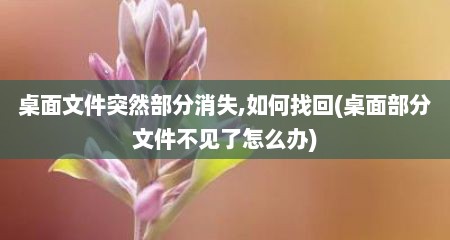 桌面文件突然部分消失,如何找回(桌面部分文件不见了怎么办)
