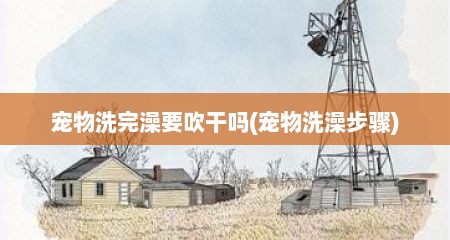宠物洗完澡要吹干吗(宠物洗澡步骤)
