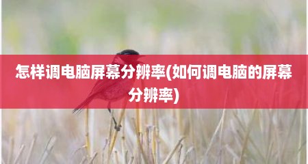 怎样调电脑屏幕分辨率(如何调电脑的屏幕分辨率)