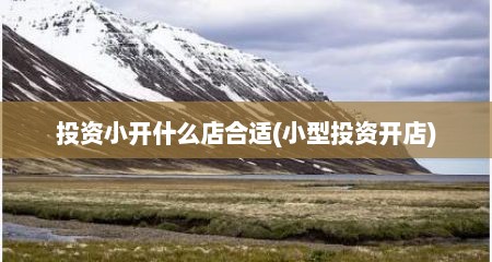 投资小开什么店合适(小型投资开店)