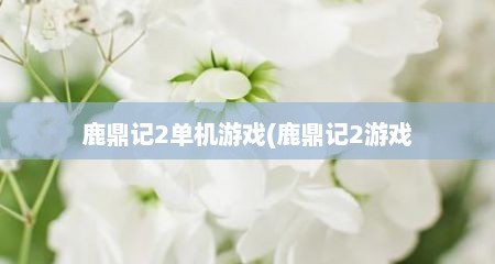 鹿鼎记2单机游戏(鹿鼎记2游戏