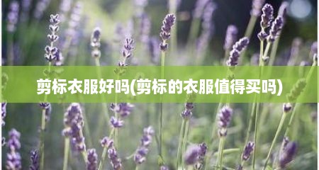 剪标衣服好吗(剪标的衣服值得买吗)