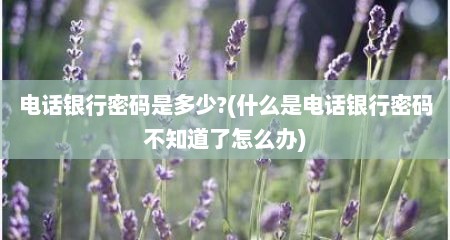 电话银行密码是多少?(什么是电话银行密码不知道了怎么办)