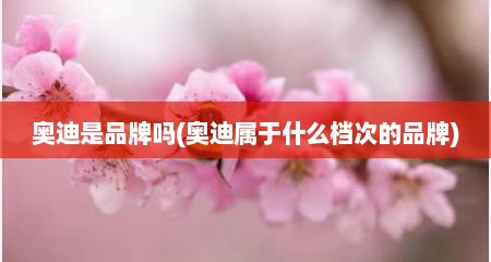奥迪是品牌吗(奥迪属于什么档次的品牌)