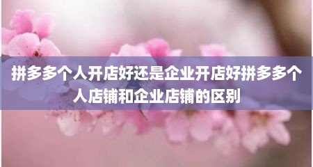 拼多多个人开店好还是企业开店好拼多多个人店铺和企业店铺的区别