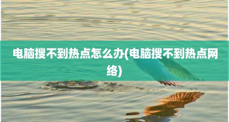 电脑搜不到热点怎么办(电脑搜不到热点网络)