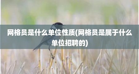 网格员是什么单位性质(网格员是属于什么单位招聘的)