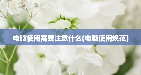 电脑使用需要注意什么(电脑使用规范)