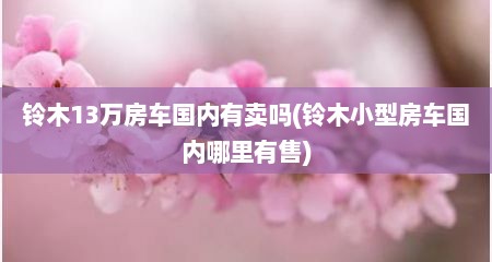 铃木13万房车国内有卖吗(铃木小型房车国内哪里有售)