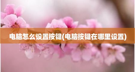 电脑怎么设置按键(电脑按键在哪里设置)