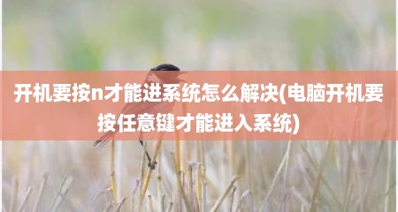 开机要按n才能进系统怎么解决(电脑开机要按任意键才能进入系统)