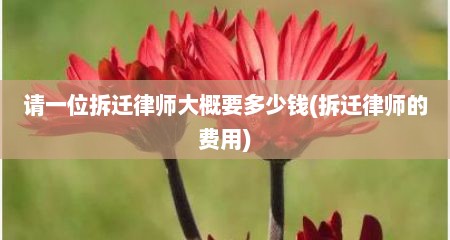 请一位拆迁律师大概要多少钱(拆迁律师的费用)